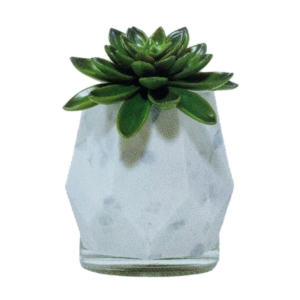 Yankee Candle Succulent Light Sensor Scent Plug Diffuser £9.59